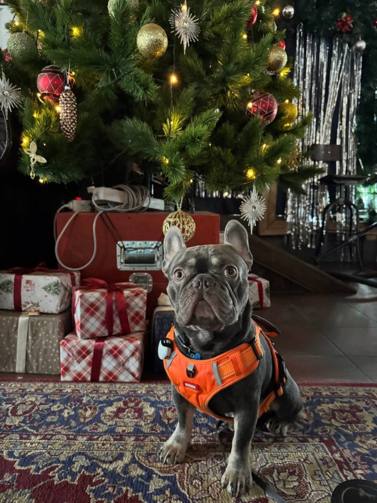 photo_2025-01-04_22-04-16.jpg photo_2025-01-04_22-04-16.jpg